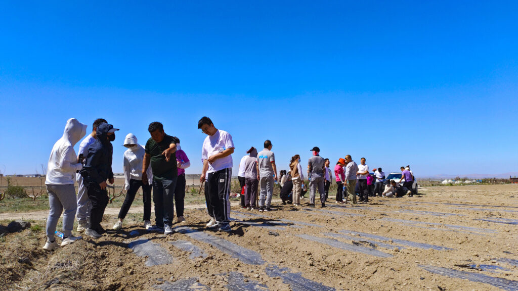 走进田园 播种希望|Z6·尊龙凯时「中国」物流春种团建活动