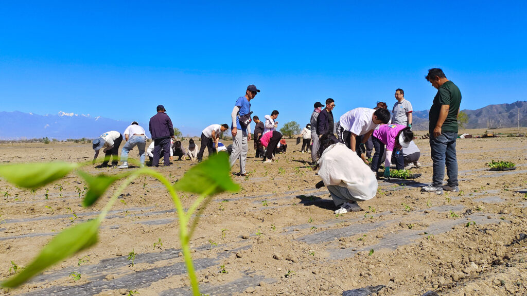 走进田园 播种希望|Z6·尊龙凯时「中国」物流春种团建活动